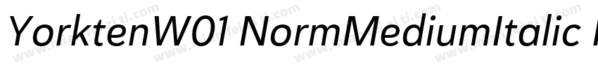 YorktenW01 NormMediumItalic Regular字体转换
